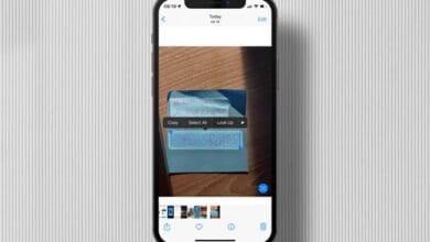 Tips to Maximize the Live Text Feature in the Latest iOS