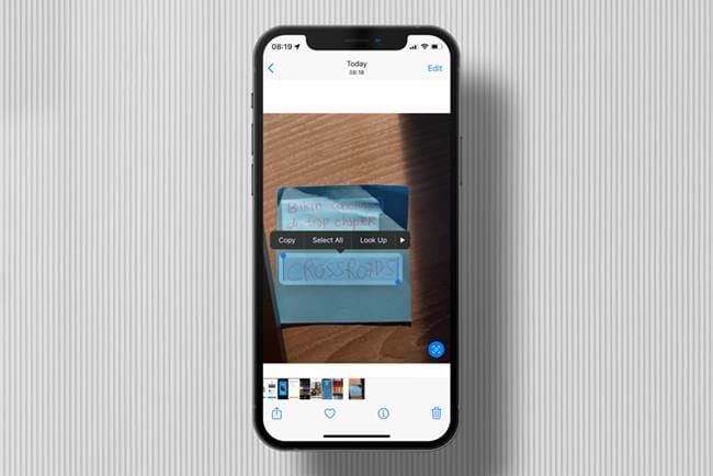 Tips to Maximize the Live Text Feature in the Latest iOS