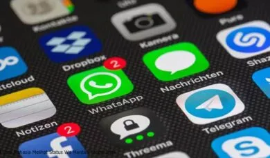 4 Cara Rahasia Melihat Status Wa Mantan Tanpa Jejak