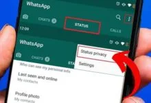 Cara Melihat Status Online Whatsapp Tanpa Ketahuan Teman Dengan Mudah