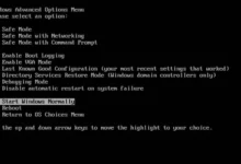 Apa itu Windows Advanced Boot Options?