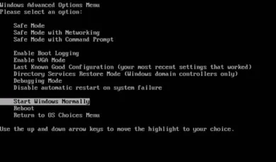 Apa itu Windows Advanced Boot Options?