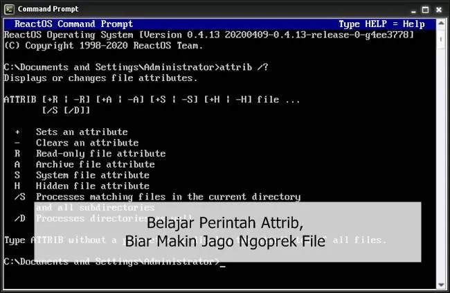 Belajar Perintah Attrib, Biar Makin Jago Ngoprek File