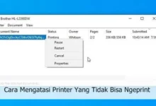 Cara Mengatasi Printer Yang Tidak Bisa Ngeprint