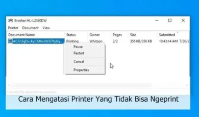 Cara Mengatasi Printer Yang Tidak Bisa Ngeprint