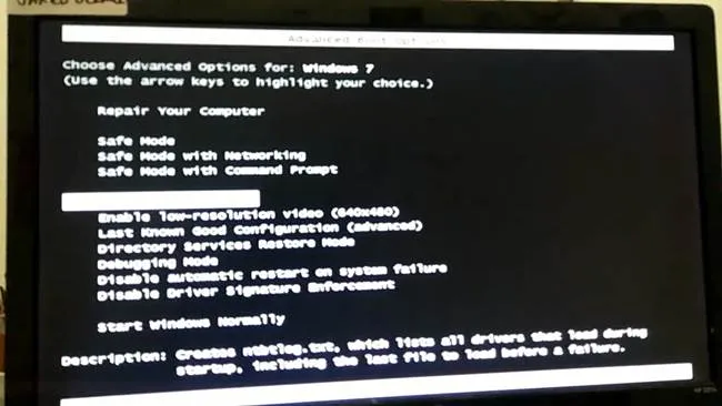 Windows Advanced Boot Options